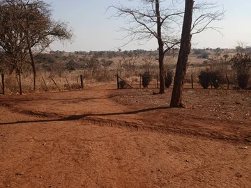 Farm & Agricultural Land