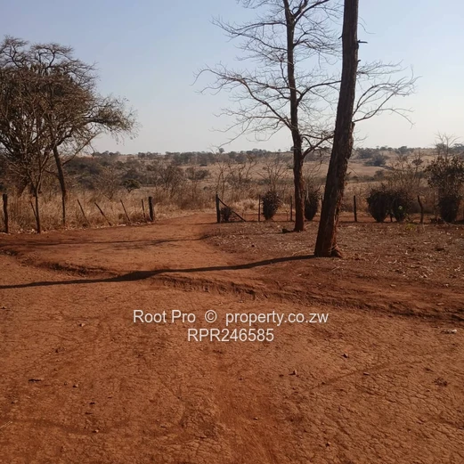 Nyabira 50-Hectare Plot For Sale 