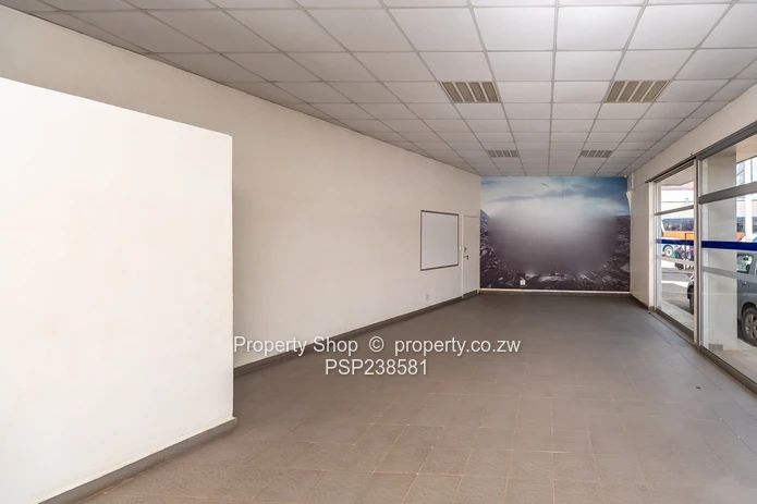 Prime High Visibility Showroom