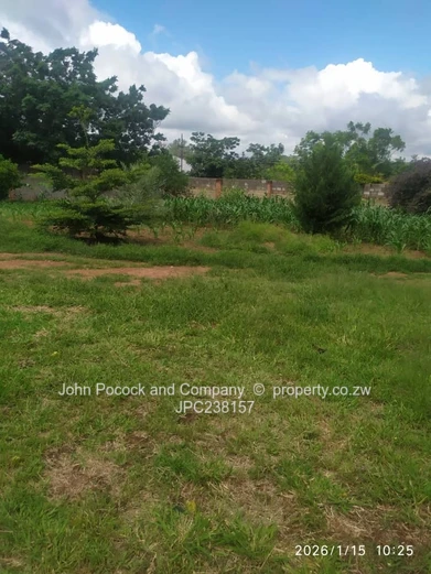 New Build | Space, Light & Investment Potential (Buena Vista)