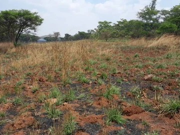 Farm & Agricultural Land