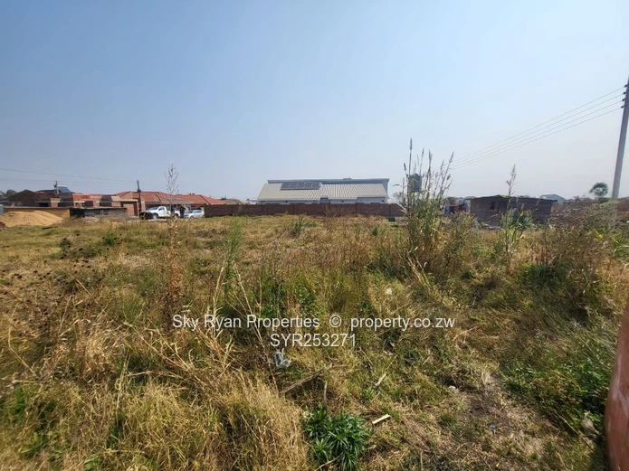 Madokero Stand For Sale