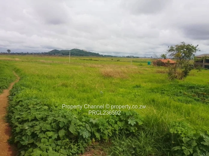 Goodhope Stand For Sale