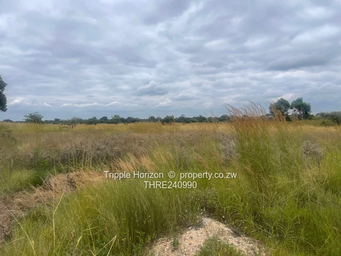 18,000m² Norton Farm — Orchard, Grazing & Main Access