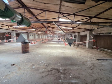 Farm & Agricultural Land