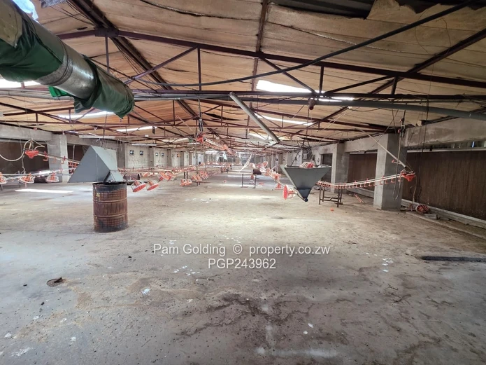 Farm/Plot for Sale in Kensington Bulawayo (Sole Mandate)