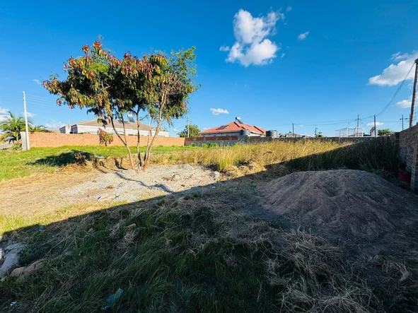 Stands & Residential Land