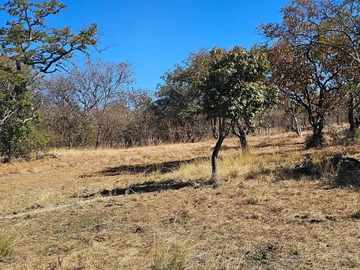 Farm & Agricultural Land