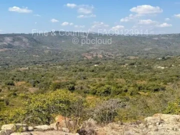 Farm & Agricultural Land