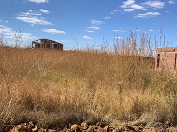 Stands & Residential Land
