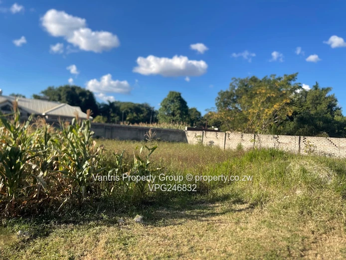Bluff Hill Stand For Sale