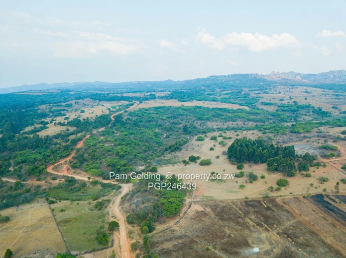 Stands In Nyanga At Nyamazi River For Sale