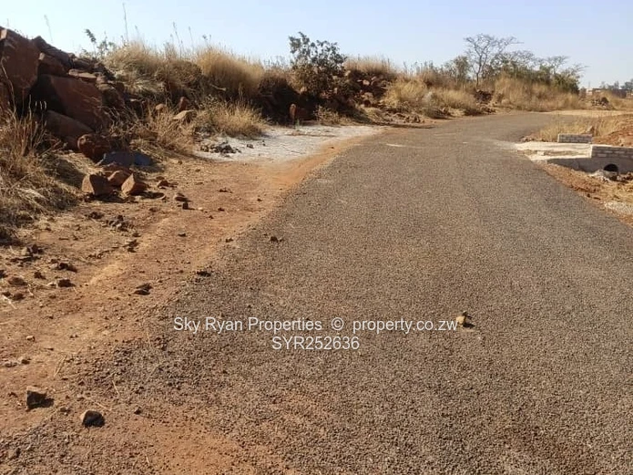 Nyeredzi Pomona Stand For Sale
