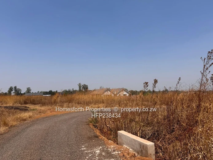 Nyeredzi pomona stands for sale (Sole Mandate)