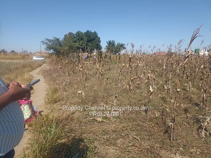 3000sqm Stand for Sale – Goodhope, Westgate Area