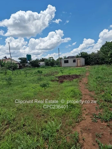 Stand for sale (Sole Mandate)