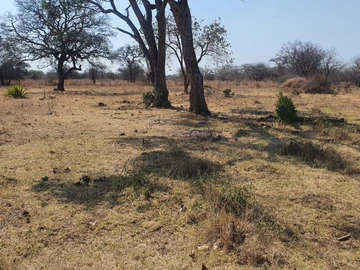 Farm & Agricultural Land