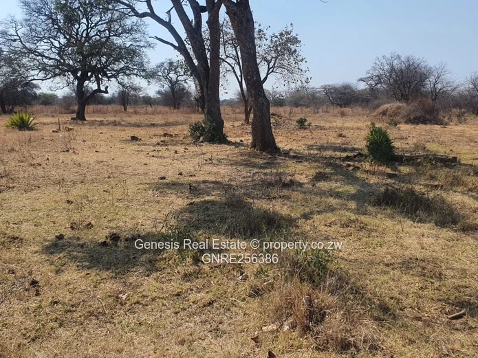 Prime Land For Sale Along Airport Road In Bulawayo!