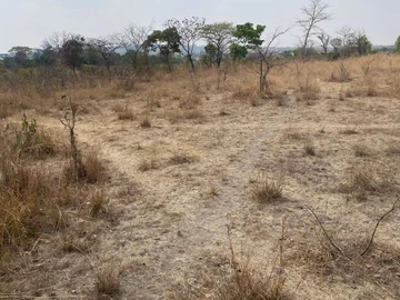 Farm & Agricultural Land