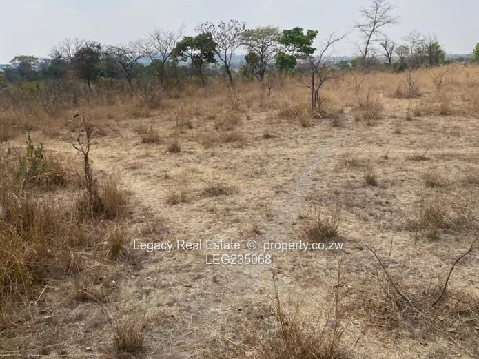 10 Hectares for Sale – Fertile Land with Stream | Flexible Terms
