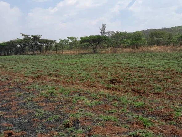 Farm & Agricultural Land