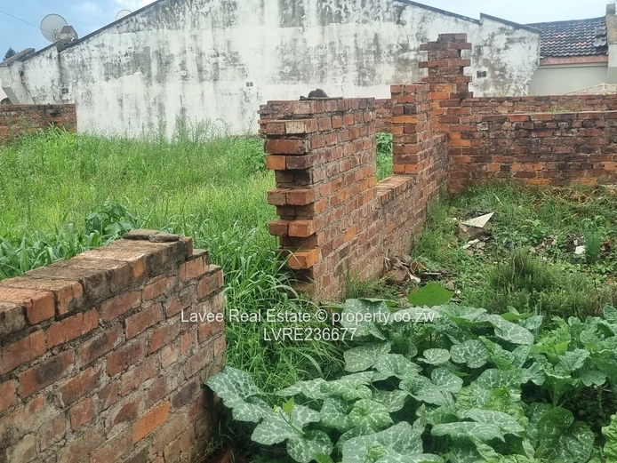 Blufhill Cluster luster stand at window level 