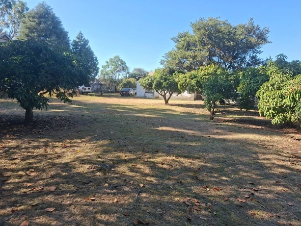 Stands & Residential Land