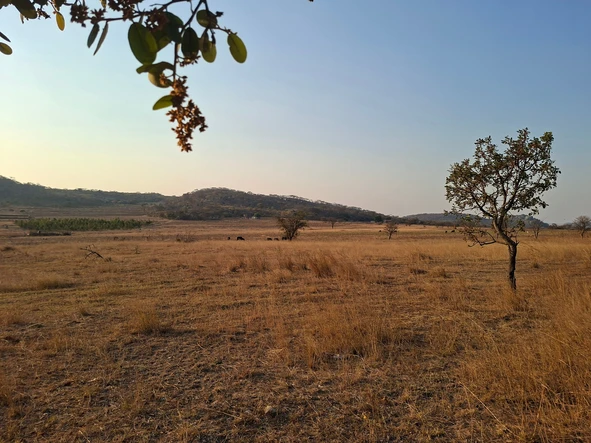 Farm & Agricultural Land