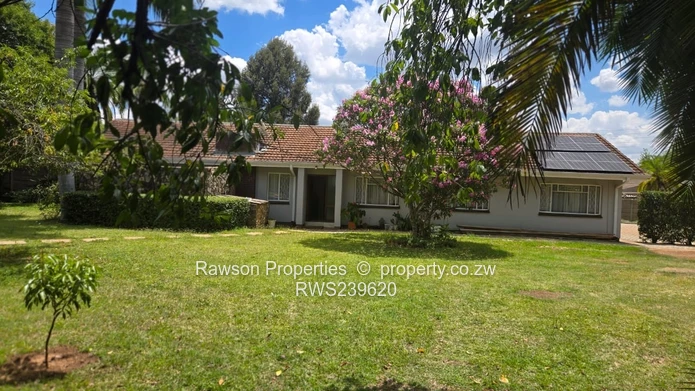 New Mandate - Vainona Gem