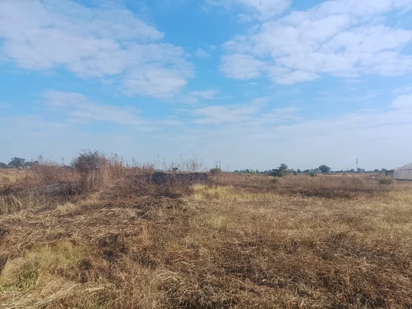Farm & Agricultural Land