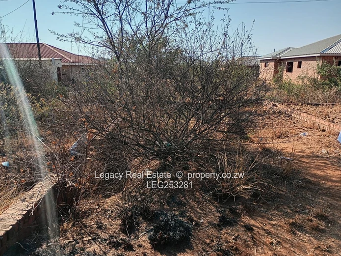 600m² Serviced Stand — Main Road Frontage, Mahatshula (Sole Mandate)