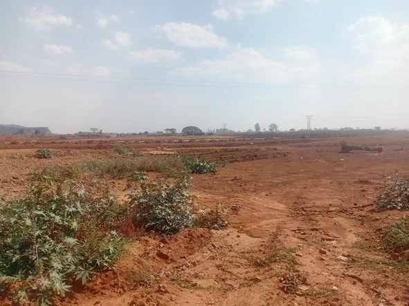 Commercial & Industrial Land