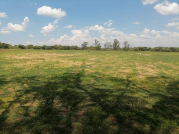 Farm & Agricultural Land