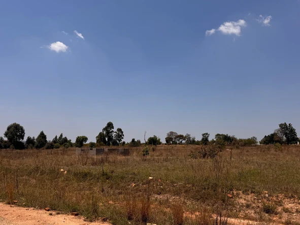 Farm & Agricultural Land