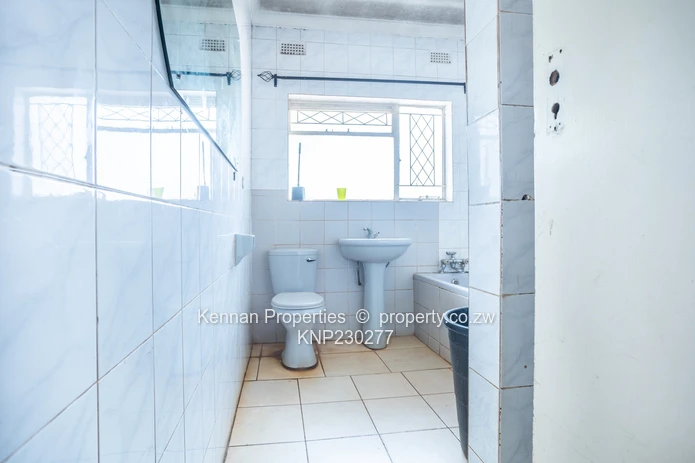 Renovator's Dream - Nostro!