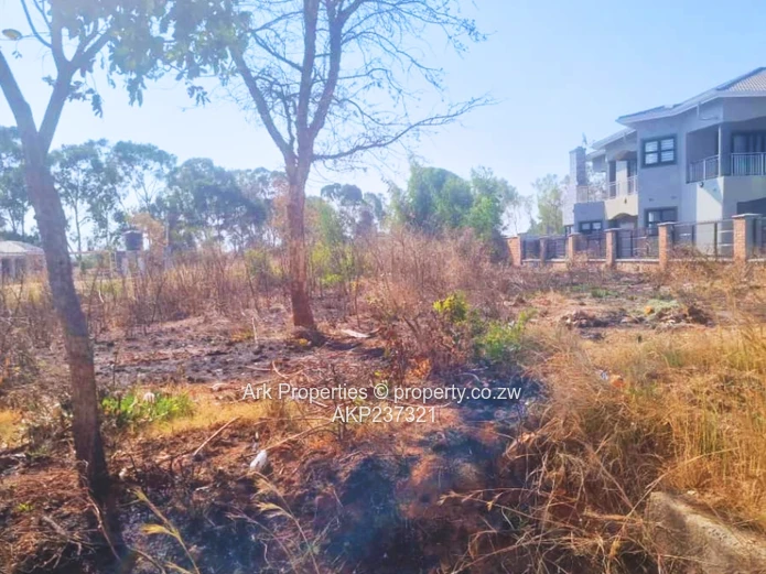 For Sale | Vacant Stand – Arlington Estate