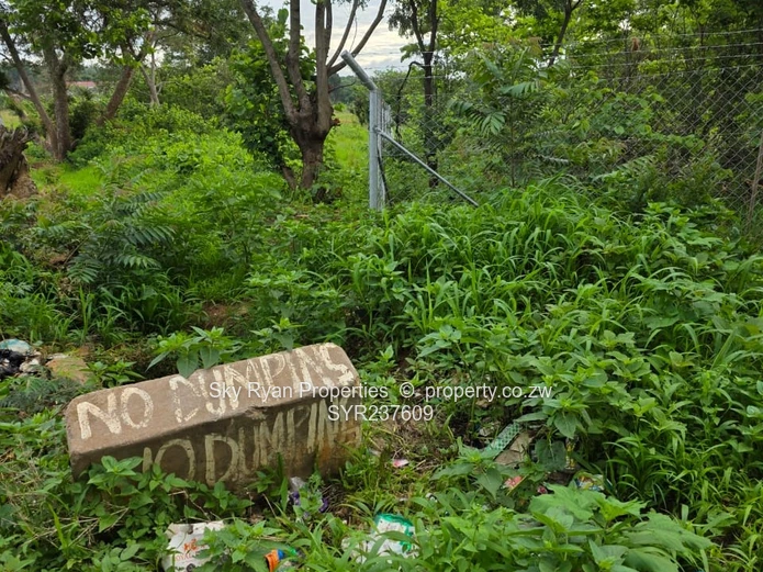 Mabelreign Stands For Sale