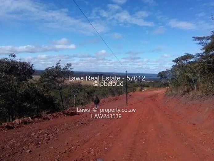 Variuos Beautiful Stands