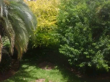 2 Bedroom Flat & Apartment