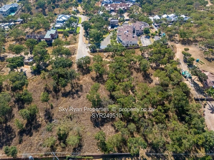 Carrick Creagh Stand For Sale