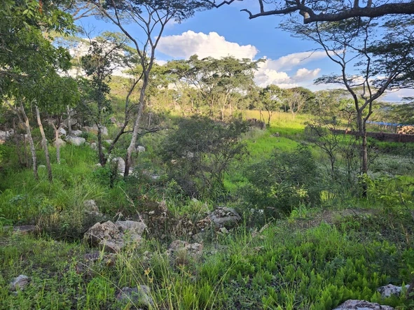 Farm & Agricultural Land