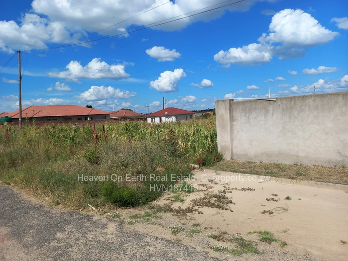 Neat stand (Sole Mandate)