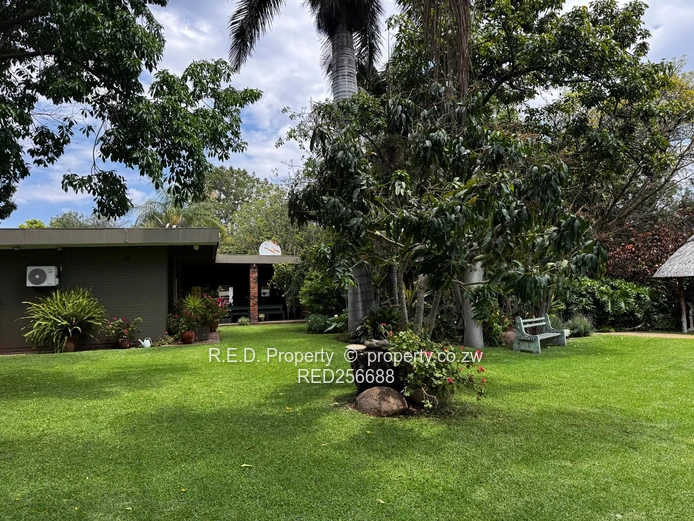 Exceptional Hillside Haven!