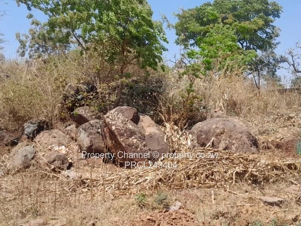 Vacant Stands For Sale In Gletwin