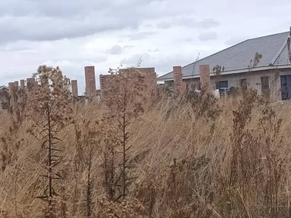 Stands & Residential Land