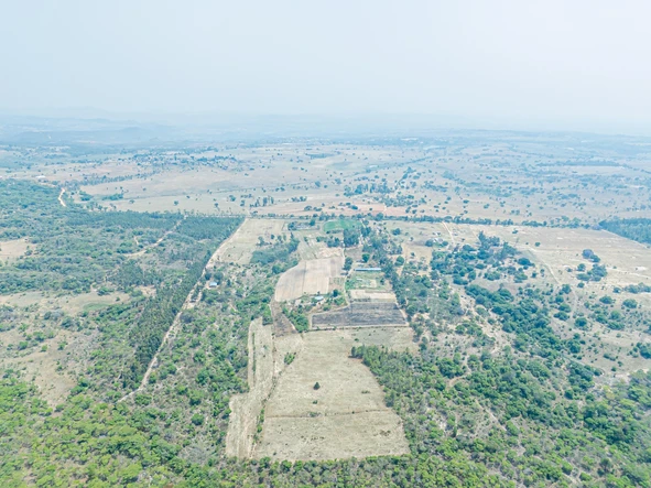 Farm & Agricultural Land