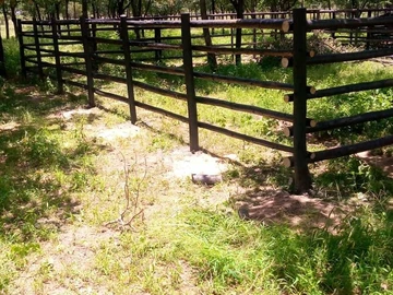 5 Hectare Plot in Kadoma