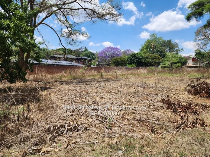 Rare Prime Find: Build Your Dream Home in Affluent Glen Lorne