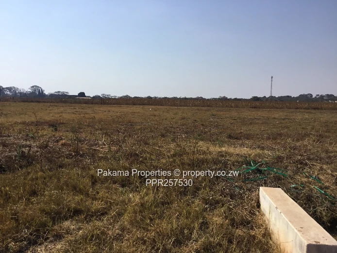Pomona City stand for sale