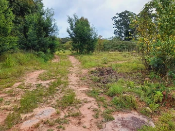Chimanimani Stand For Sale 
